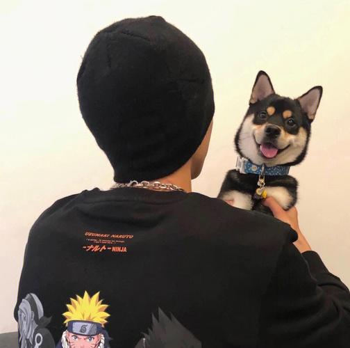 6686体育高级作者Zane