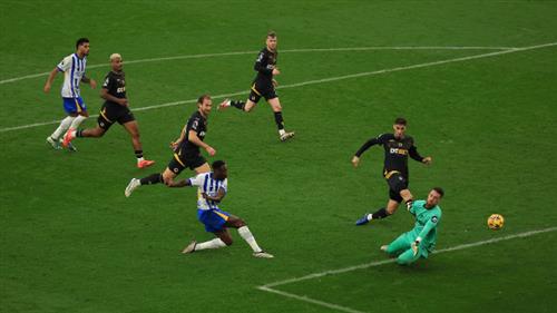 Брайтон против Волков