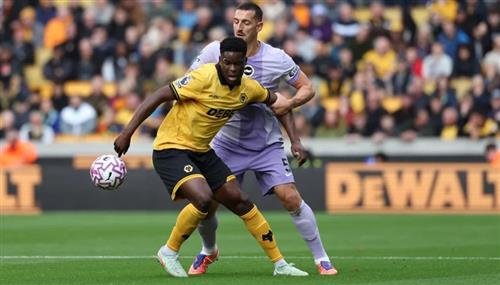 Волки против Брайтона