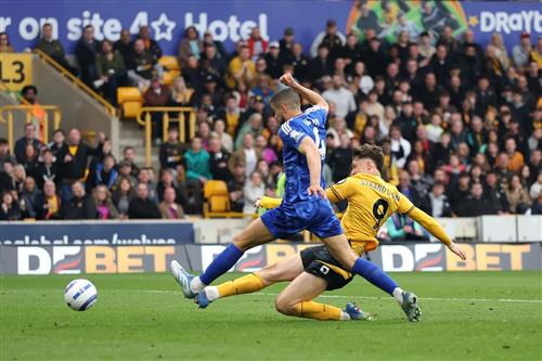 Вулвз против Лестер Сити